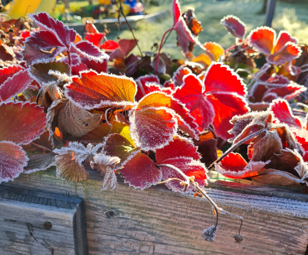 Es herbschtaled im GenussOrt Roggenburg